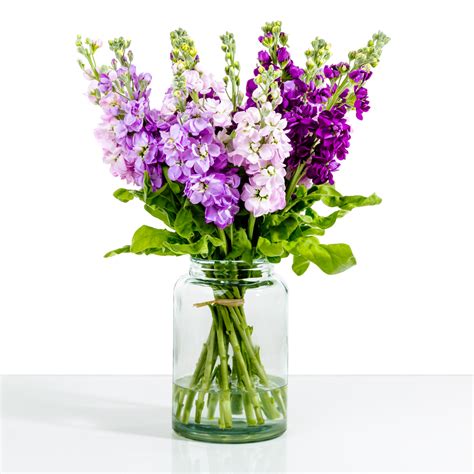 Maybe you would like to learn more about one of these? Happy Birthday Flowers: Send Flowers as a Birthday Gift ...