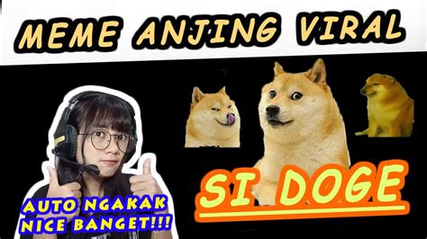 Doge Meme Anjing Yang Lagi Viral Kocak Dan Receh Banget Youtube