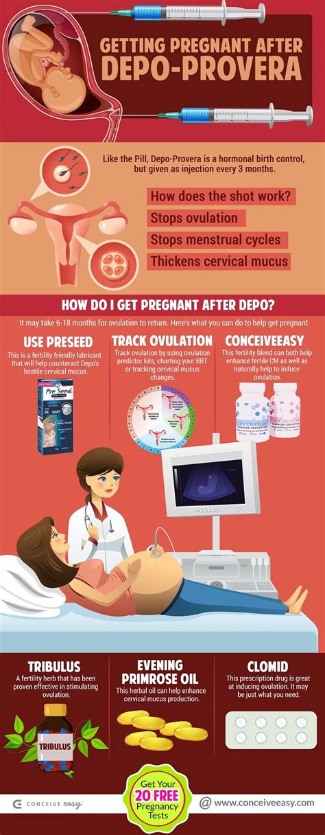 Getting Pregnant After Depo Best Ways Conceiveeasy Com Getting Pregnant Birth Control