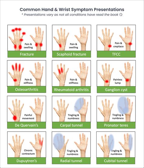 Chiropractic Hand And Wrist Physical Exam — Chiroup