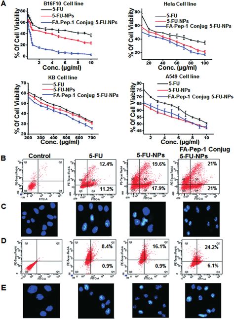 Cytotoxicity And Apoptosis Study Results A Dose Dependent