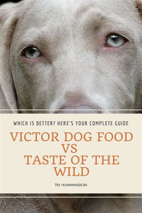 The first ingredient is salmon. Victor Dog Food vs Taste of the Wild : Your complete guide ...