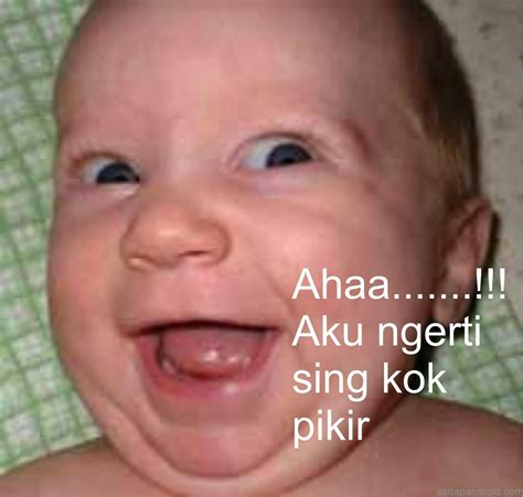 Ide 38 Gambar Lucu Kata Kata Bayi Paling Modern Dan Nyaman, Gambar Lucu