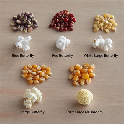 50 Lb Bulk Bag Mushroom Popcorn Kernels Shop Wholesale
