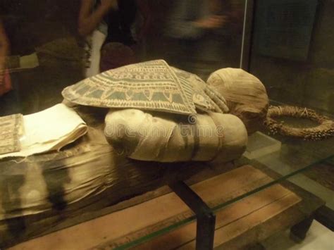 Egyptian Mummy In The Louvre Museum Paris France Europe Editorial Stock