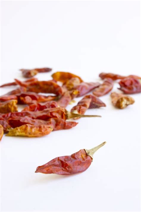 Dried Chili Pepper Stock Photo Image Of Addition Cuisine 19979338