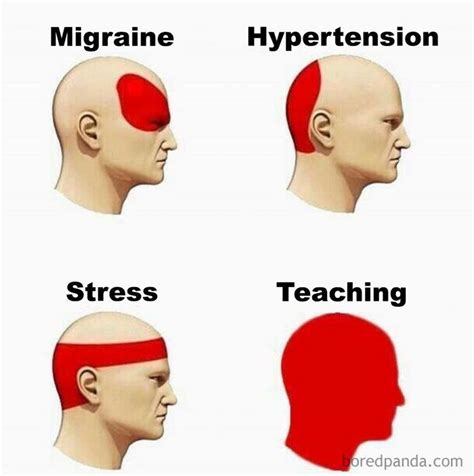 Headache Types Teacher Memes Funny Teaching Memes Funny Memes Sarcastic
