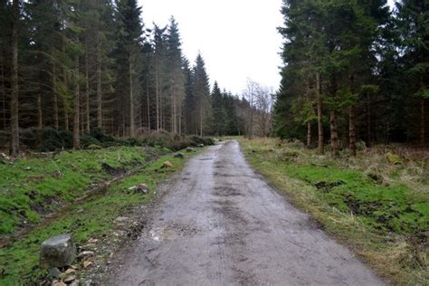 Forestry Track Great Timble John Sparshatt Cc By Sa Geograph Britain And Ireland