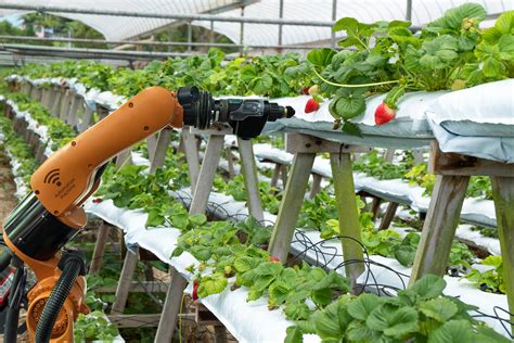 How Mechatronics Engineering Is Advancing Agriculture Capitol