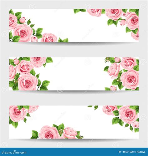 Set Of Web Banners With Pink Roses Vector Illustration Stock Vector