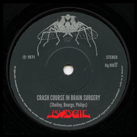 Crash Course In Brain Surgery 2013 Remastered Version Single By