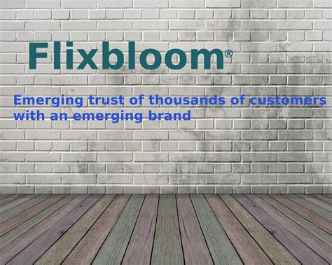 Flixbloom - Emerging trust of thousands of customers with an emerging brand in 2021 | Emerging 