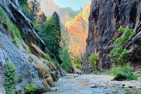 The Narrows Zion National Park Private Guided Hike