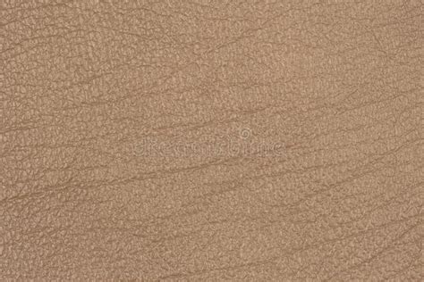 Light Brown Leather Texture Surface Stock Photo Image Of Natural