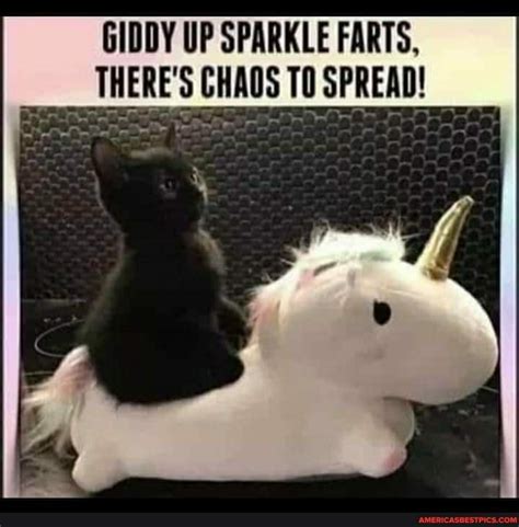 Giddy Up Sparkle Farts There Chads To Spread Americas Best Pics
