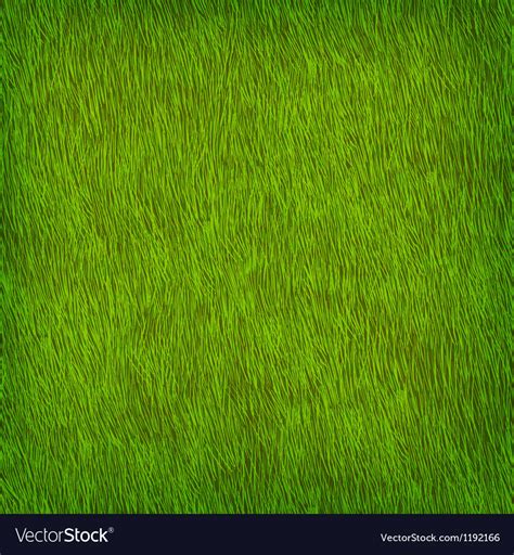 Green Grass Texture Royalty Free Vector Image Vectorstock