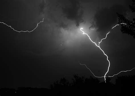 Filelonghorndave Lightning By Wikimedia Commons Clip Art Library