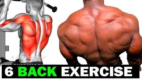 Top 6 Best Back Muscle Exercises 🔥 Youtube