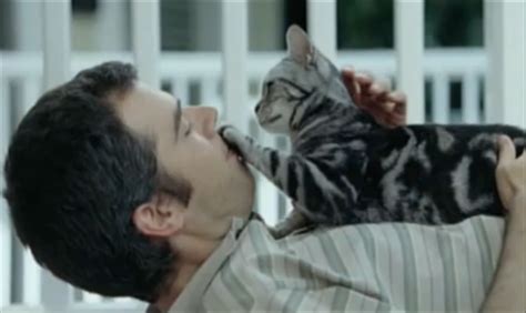 I think your cat is drooling. Catsparella: Whiskas 'Cat Love' Commercials are Crazy Cute