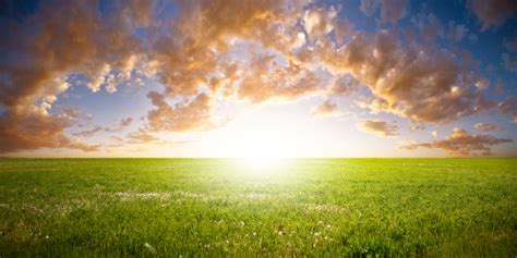 Sunrise Over Green Field Stock Photo Download Image Now Istock