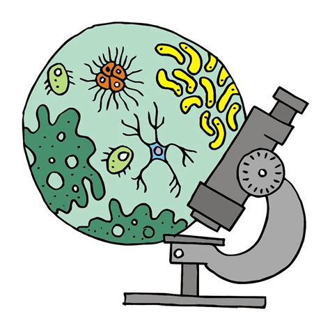 Germs clipart unicellular organism, Germs unicellular organism png image