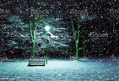 Winter Night Snow On A Park With Just A Bench A Light Stock Photo Download Image Now Istock