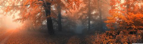 Fall Dual Monitor Wallpapers Top Free Fall Dual Monitor Backgrounds
