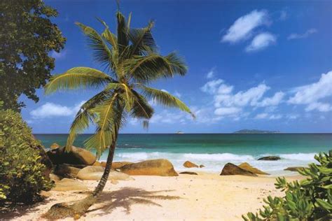 Palm Beach Tropical Landscape Photo Art Poster Print