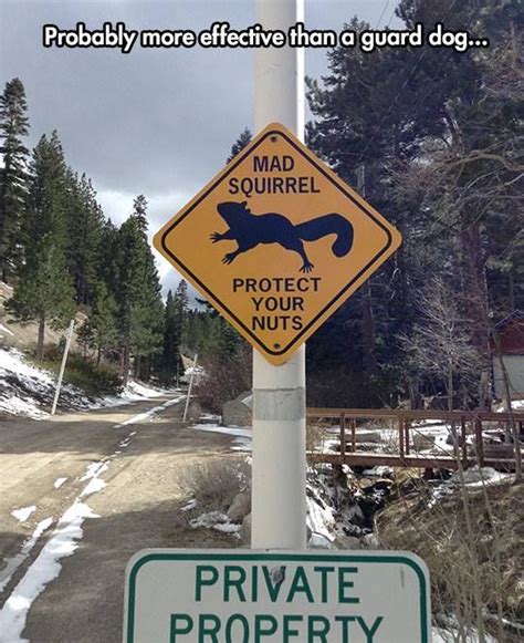 310 Best Funny Road Signs Images On Pinterest Funny