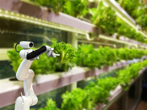 Vertical Farming In Malaysia Uae To Launch Hydroponic Vertical
