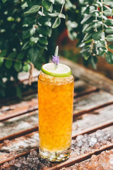 18 Easy Ginger Cocktails For Fans Of Moscow Mules Stylecaster