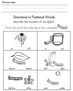 5 Best Images of Positional Language Worksheets Printable