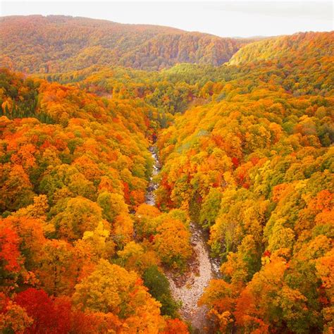 15 Best Places To See New England Fall Foliage 2022 Scenic New