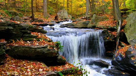Autumn Waterfalls Wallpaper Nature And Landscape Wallpaper Better