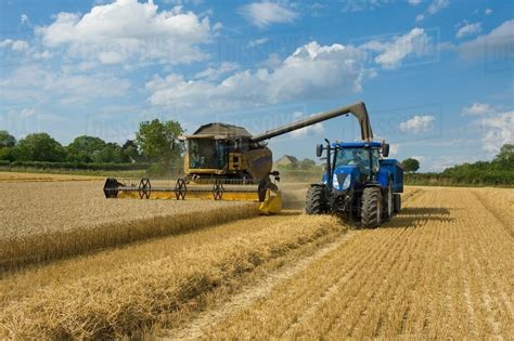 Combine Harvester And Tractor Harvesting Wheat In Wheatfield Stock