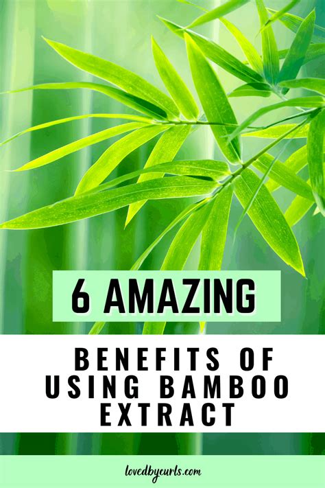 6 Amazing Benefits Of Using Bamboo Extract For Hair And Skin