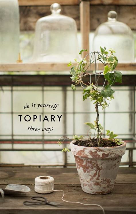 Topiaries Diy And Crafts And Ivy On Pinterest