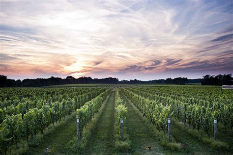 Head Out Of Nyc For The Day To These Long Island Wineries Including