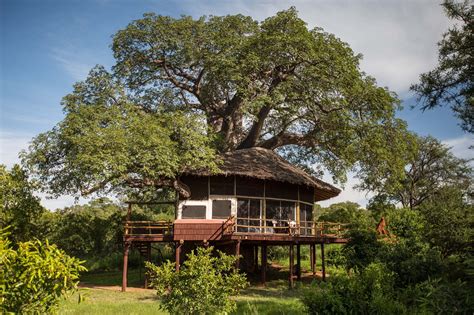 Elewana Tarangire Treetops Updated 2023 Prices And Cottage Reviews