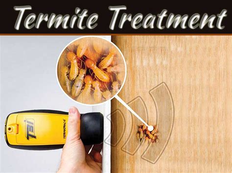Several ways, but basically the same yes, very often it is. What's The Best Termite Treatment? | My Decorative