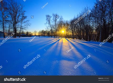 Beautiful Sunset In Winter Forest Russia Stock Photo