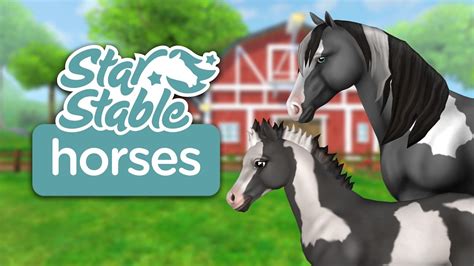 Star Stable Horses Jorvikipedia Fandom Powered By Wikia
