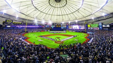 A Day At The Tampa Bay Rays Visit St Petersburg Clearwater Florida