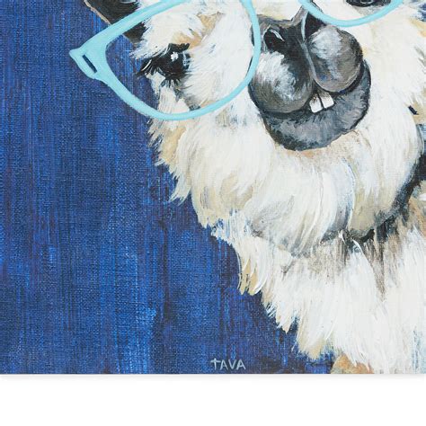 Funky Llama Canvas 70 X 70cm Home Store More