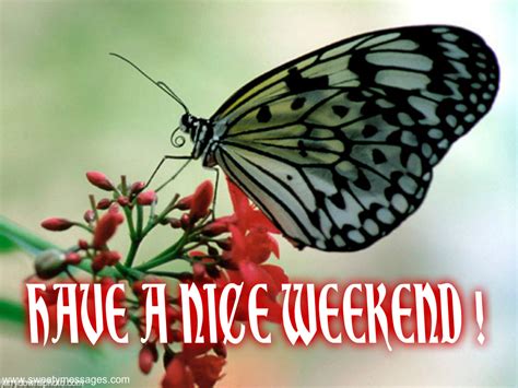 Weekend Messages 2020 Weekend Wishes Happy Weekend Quotes Beautiful