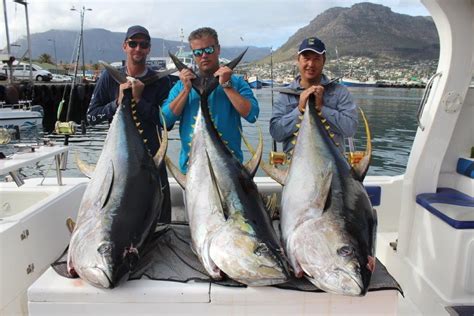 Big Tuna Fishing Cape Town Hooked On Africa Fishing Charters Cape Town