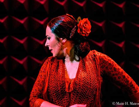 Special Flamenco Nights Galeria West Concert In Westfield