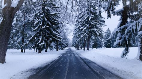 Support us by sharing the content, upvoting wallpapers on the page or sending your own background pictures. Download wallpaper 1366x768 winter, road, snow, trees ...
