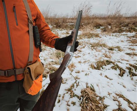 How To Choose A Shotgun For Pheasant Hunting Project Upland