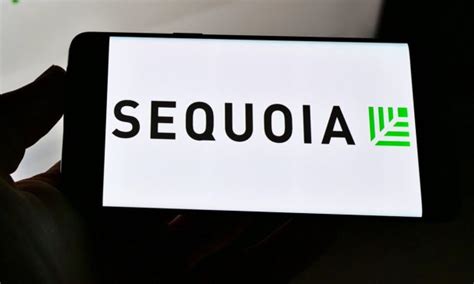 Sequoia Capital To Focus On Ai Companies Utilizing Foundation Models